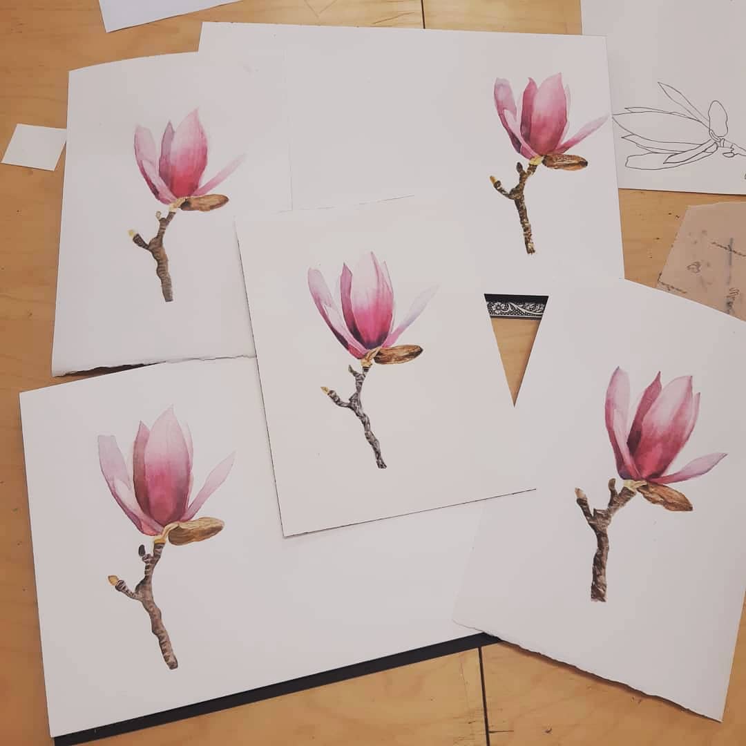 magnolia cours aquarelle ludwine probst illustratrice