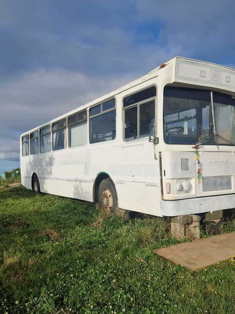 bus peinture sous-couche tasmanie ludwine