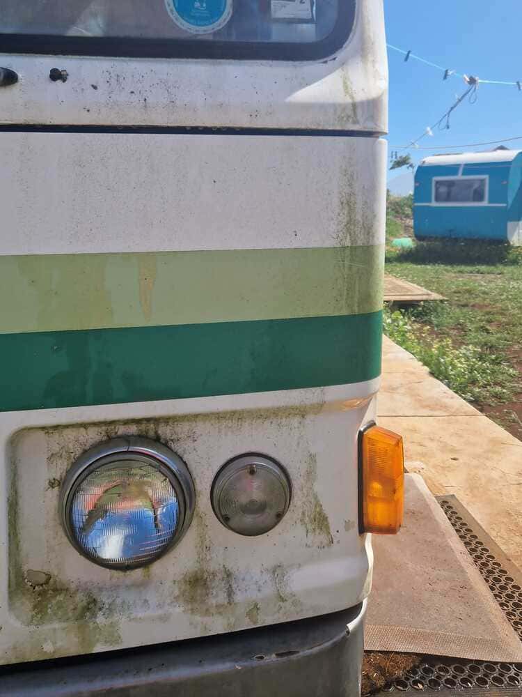 Bus à peindre sale tasmanie Ludwine