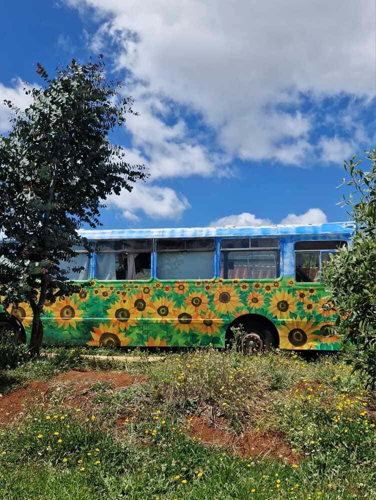 Bus entier repeint terminé Tasmanie Ludwine Probst